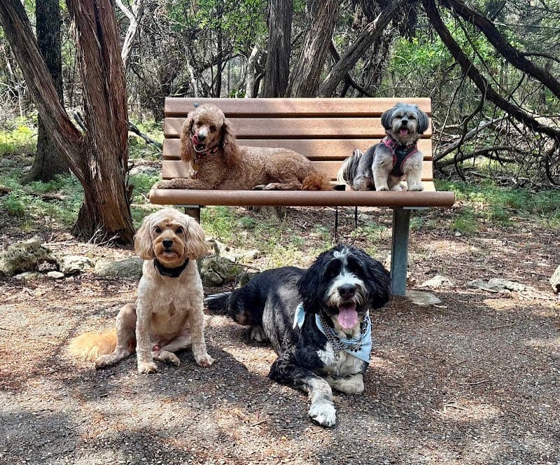 LOVING PET CARE photo 2