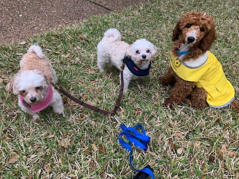 LOVING PET CARE photo 3