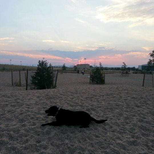 Lowry Dog Park photo 4