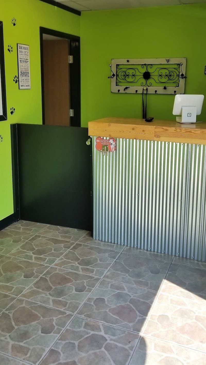 Lucky Dog Grooming photo 6