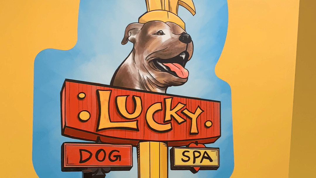 Lucky Dog Spa