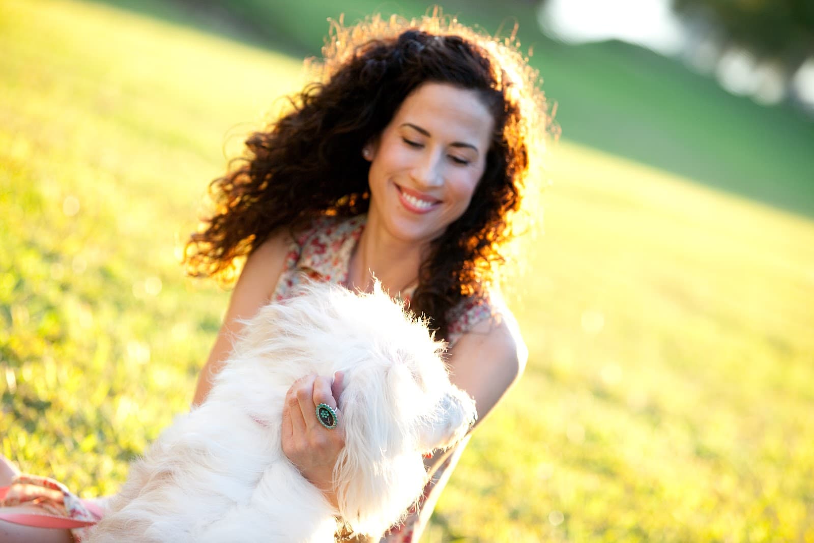 Lucy Goo Pet Sitting LLC