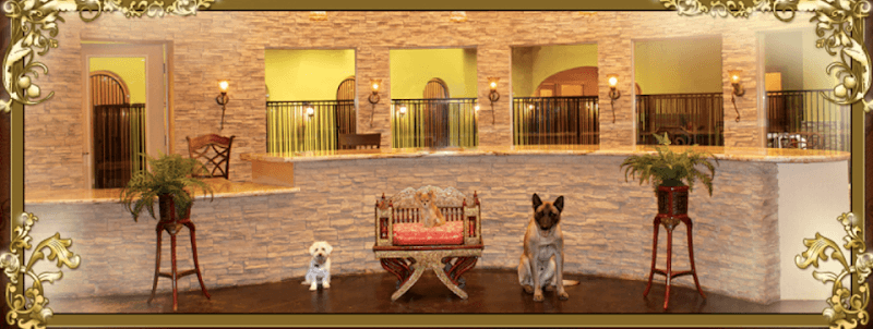 LV (Las Vegas) Dog Resort