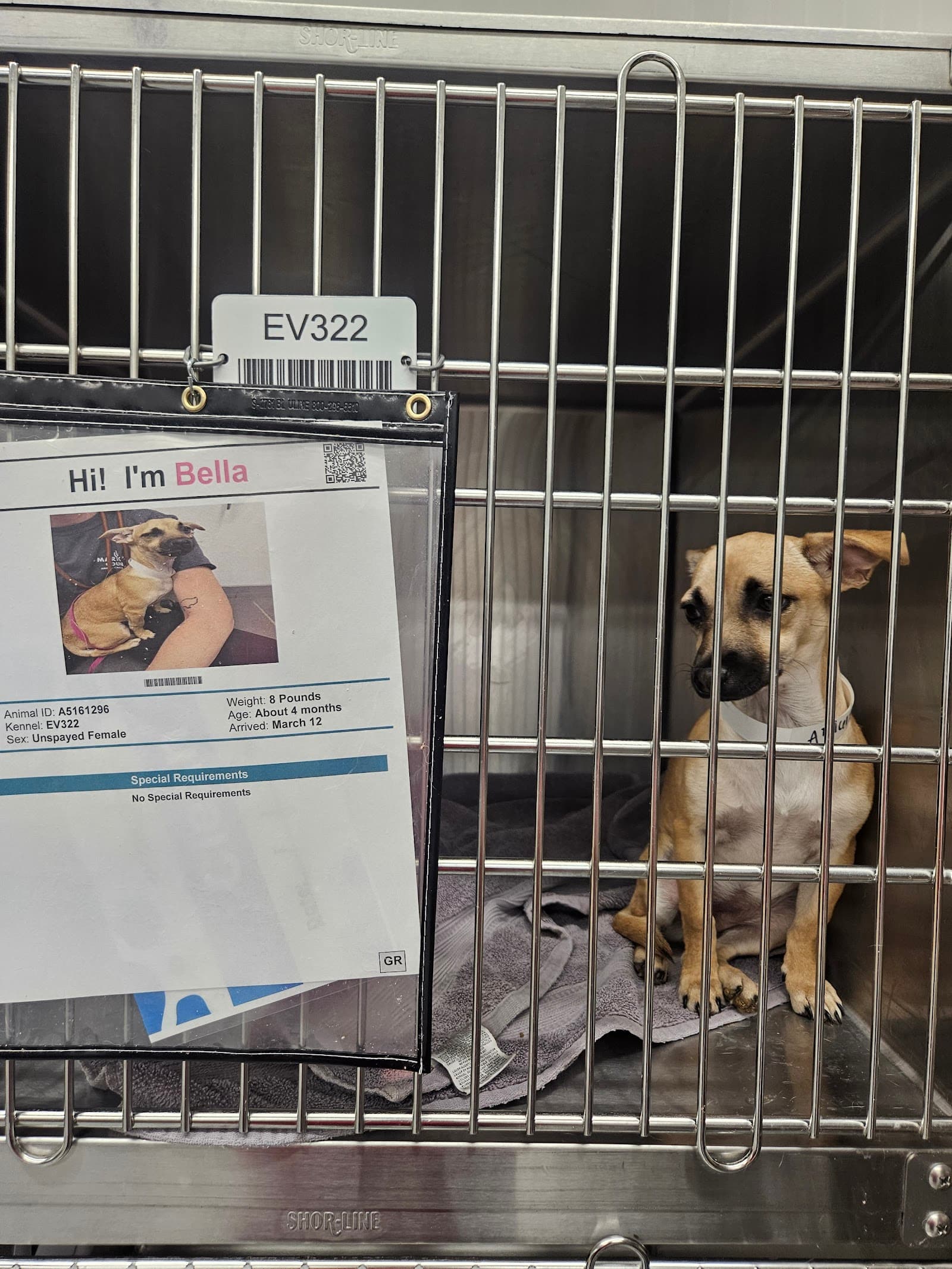 Maricopa County Animal Care and Control