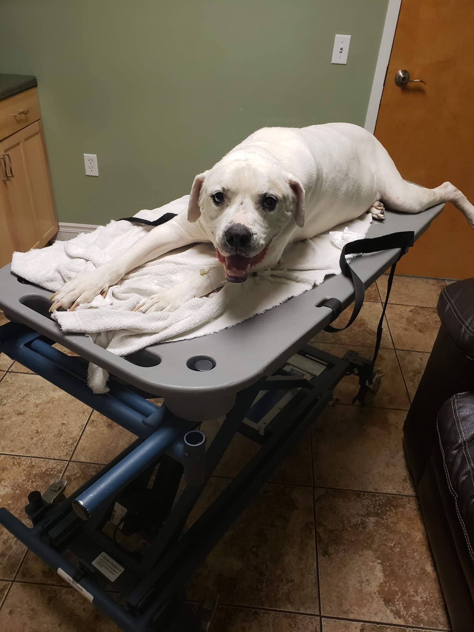 Mass-RI Veterinary ER