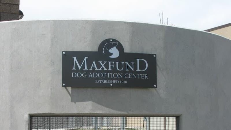 MaxFund Animal Adoption Center photo 2