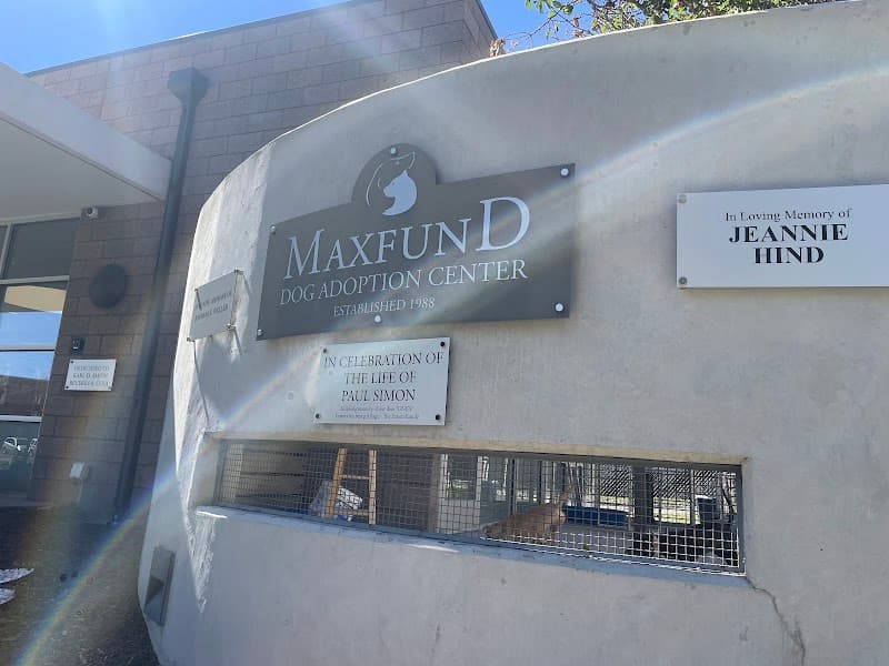 MaxFund Animal Adoption Center photo 3