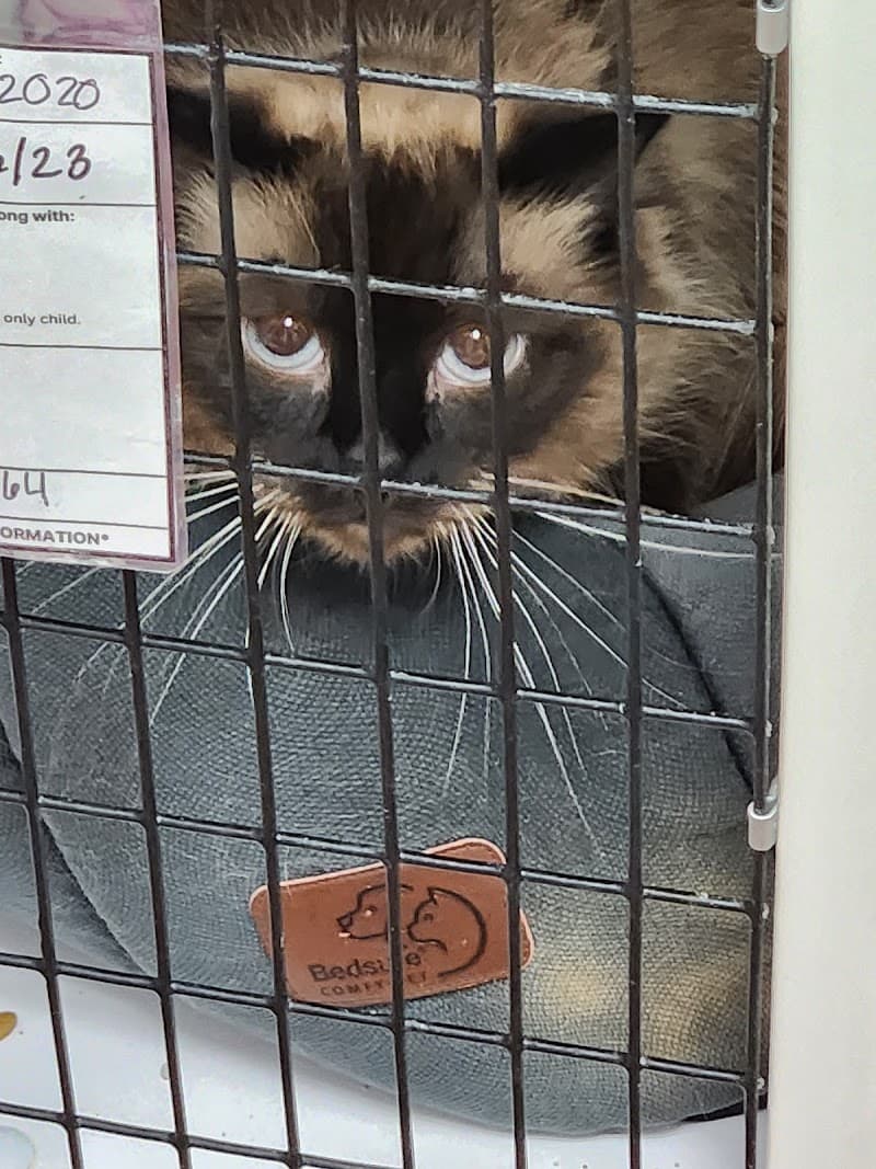 MaxFund Animal Adoption Center photo 5