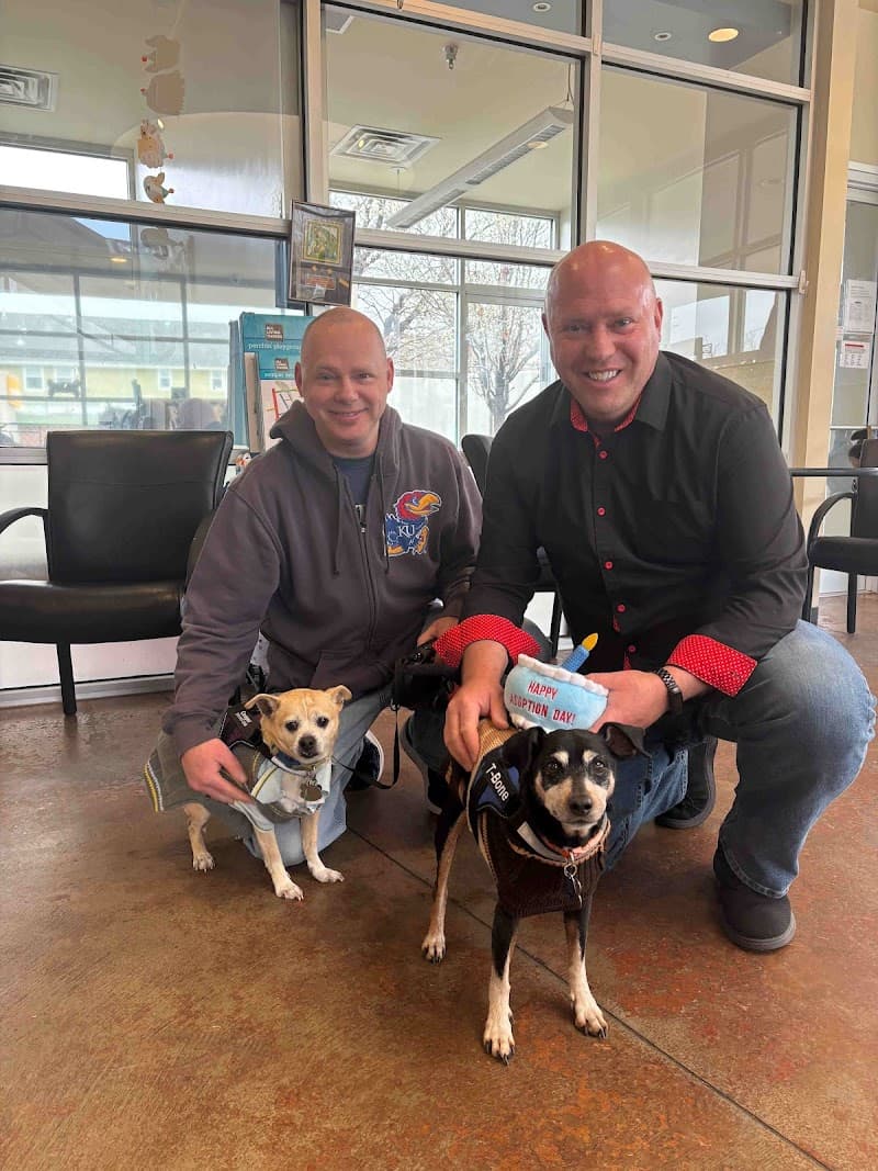 MaxFund Dog Shelter photo 2