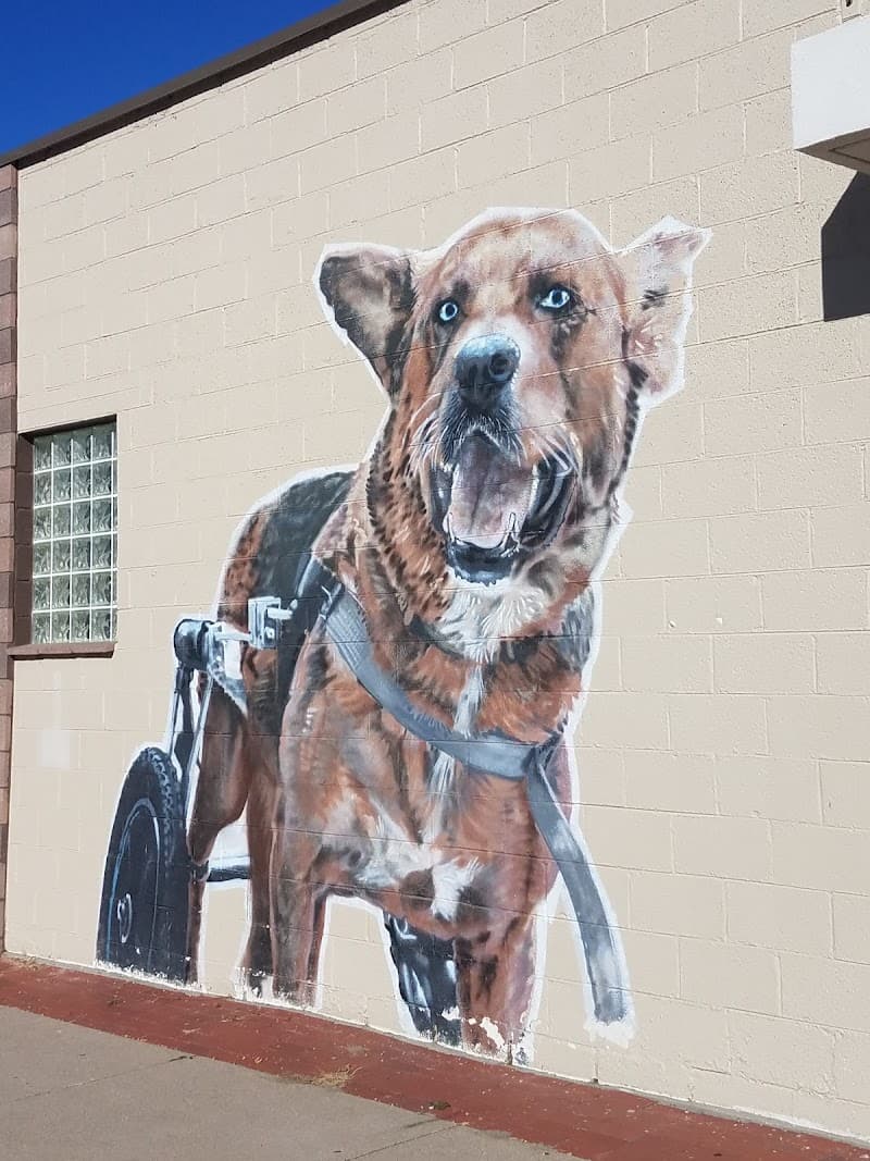 MaxFund Veterinary Clinic photo 4