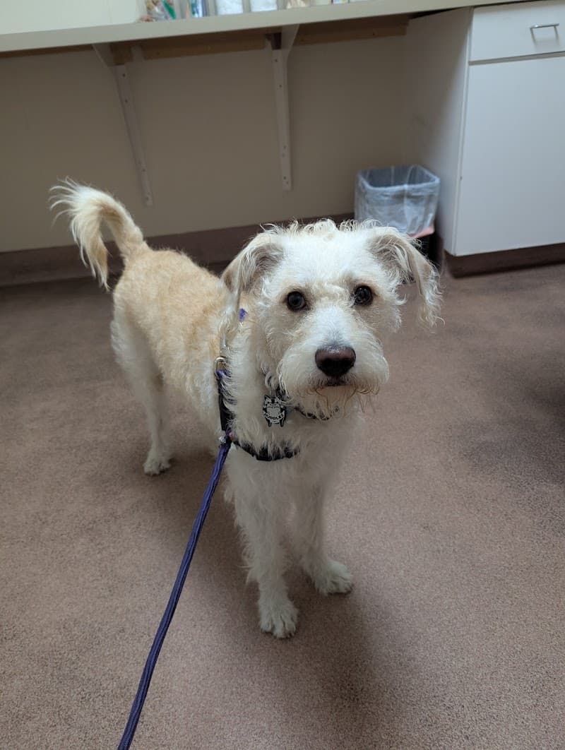 MaxFund Veterinary Clinic photo 5
