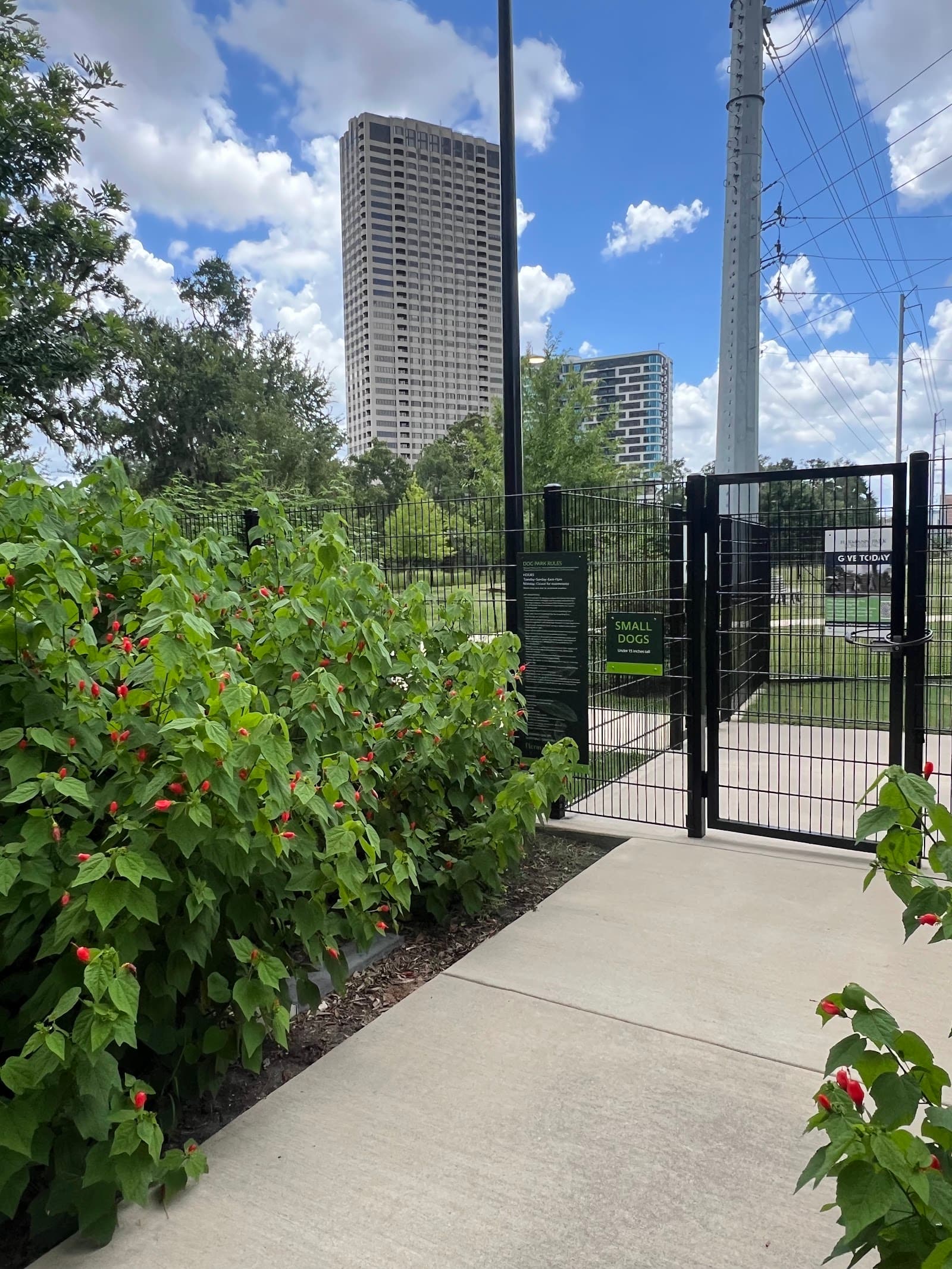 McWilliams Dog Park