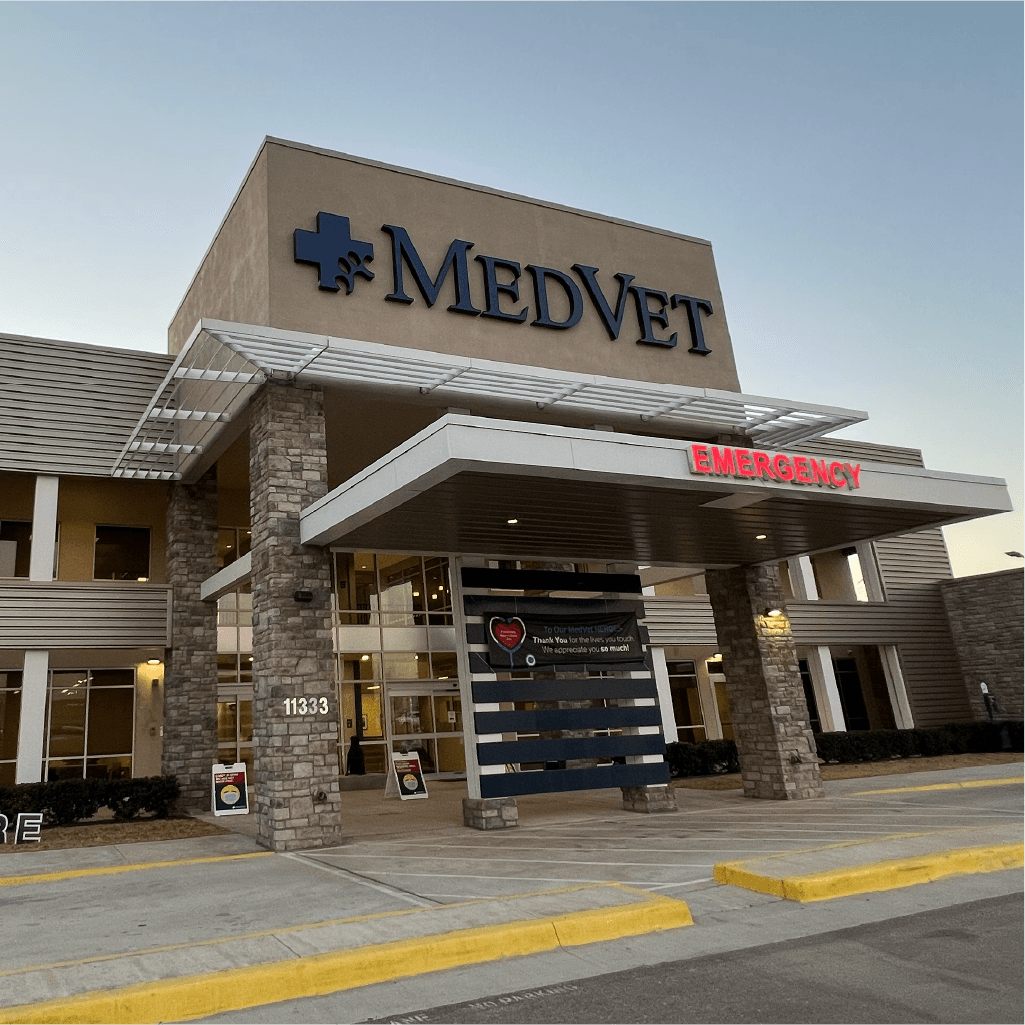 MedVet Dallas
