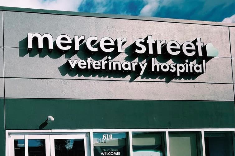 Mercer Street Veterinary Hospital