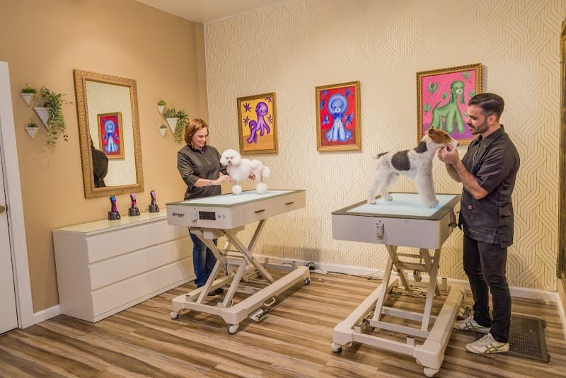 Mimo Grooming Studio - University Heights | Gabriel Feitosa