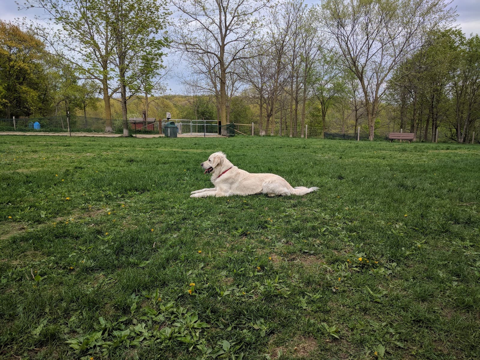 Minooka Dog Park