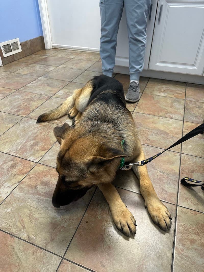 Mission Valley Pet Clinic photo 3
