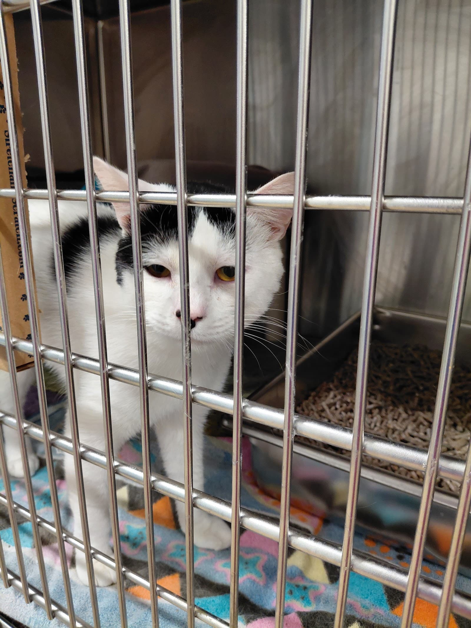 Montgomery County Animal Services and Adoption Center