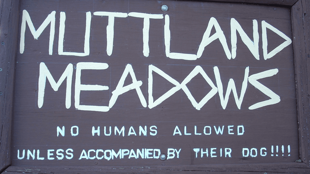 Muttland Meadows