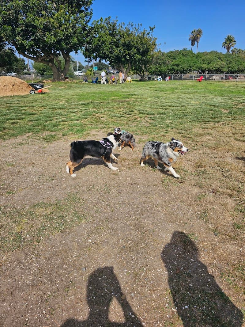 My Dog Park