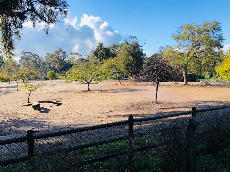 Nate's Point Dog Park