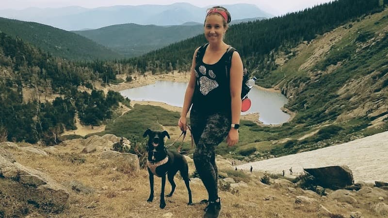 Niki the Dog Trainer, LLC photo 2