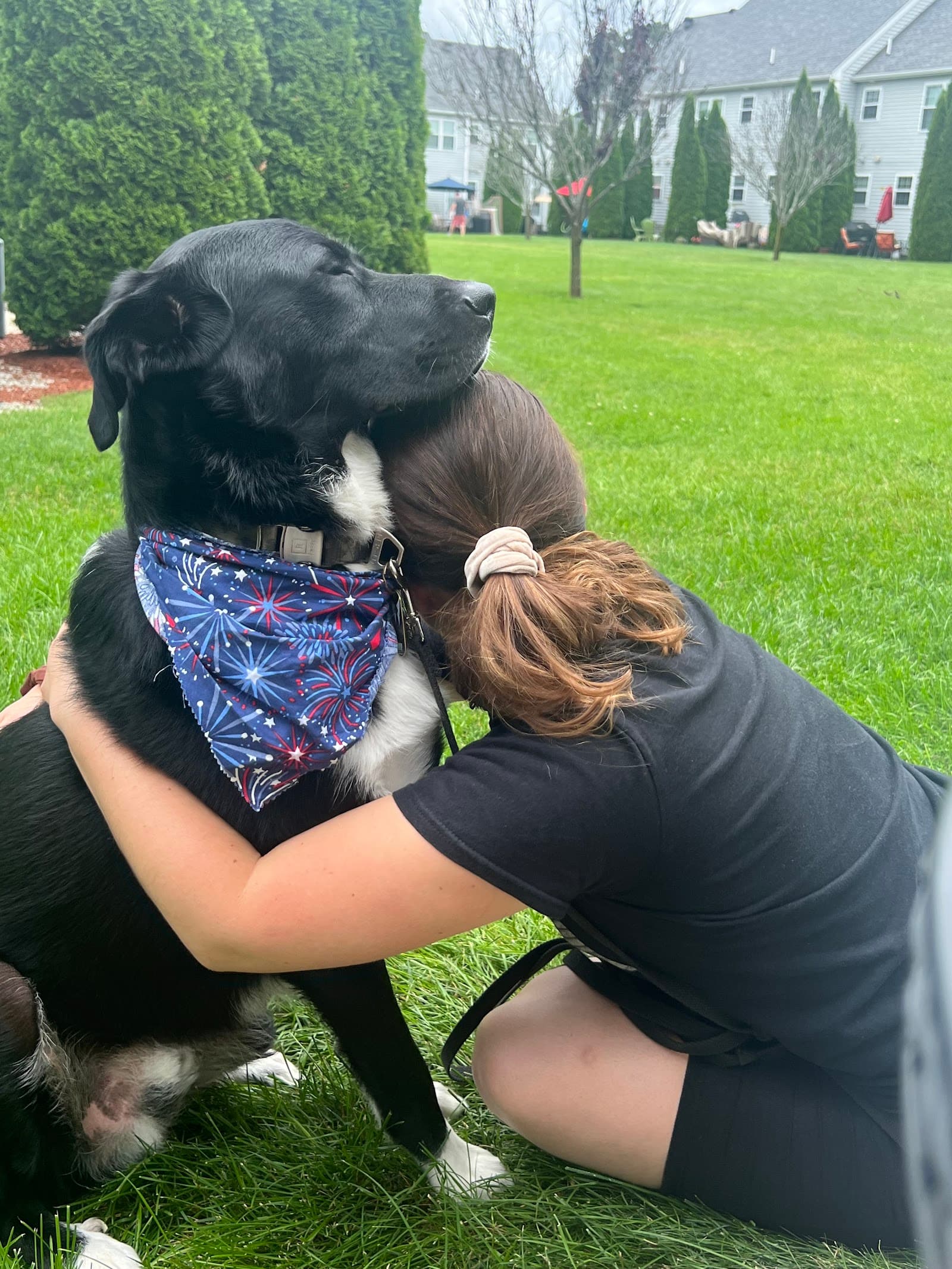 North Boston Dog Training
