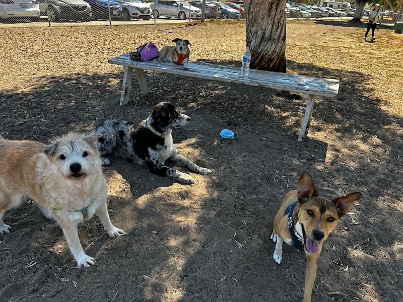 North Park Community Dog Park photo 2