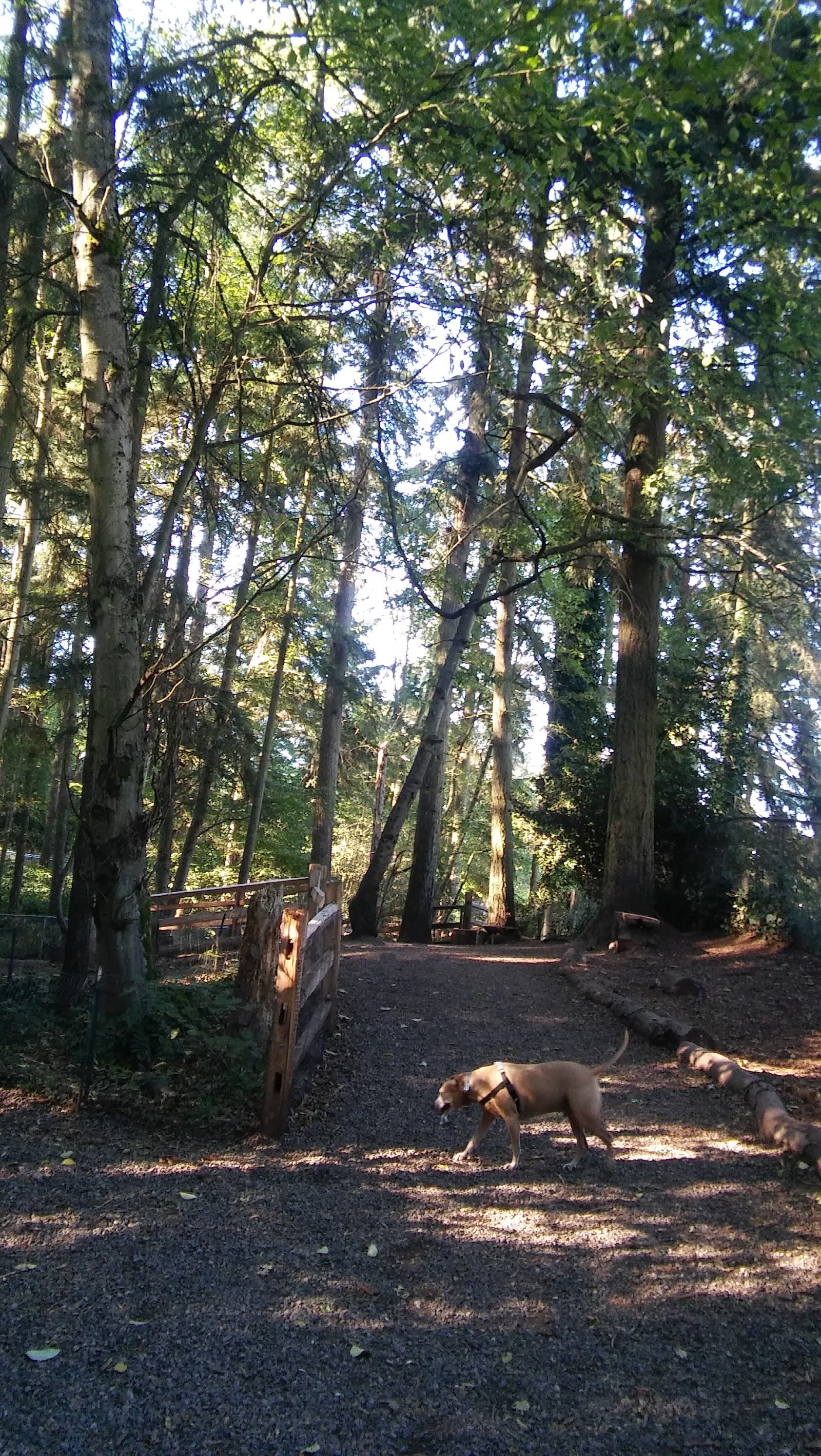 Northacres Off-Leash Dog Area