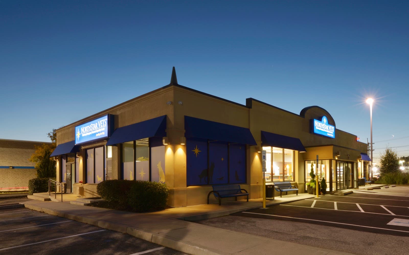NorthStar VETS