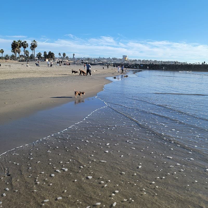 Ocean Beach | Dog Beach