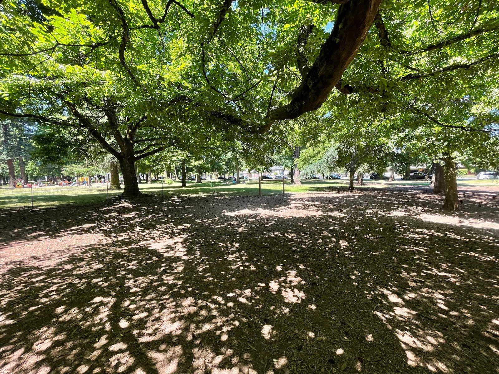 Off-Leash Dog Area