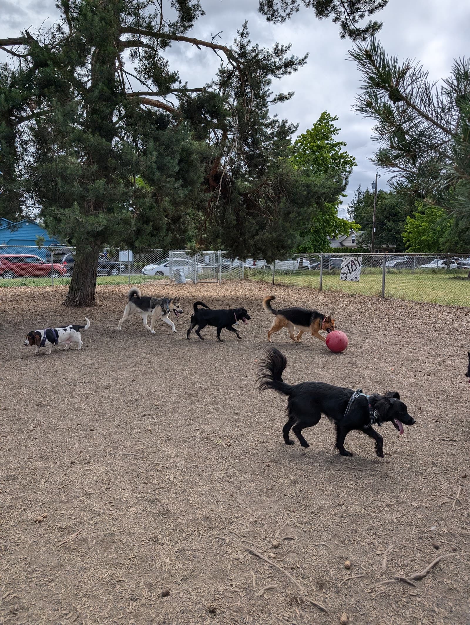 Off-Leash Dog Area