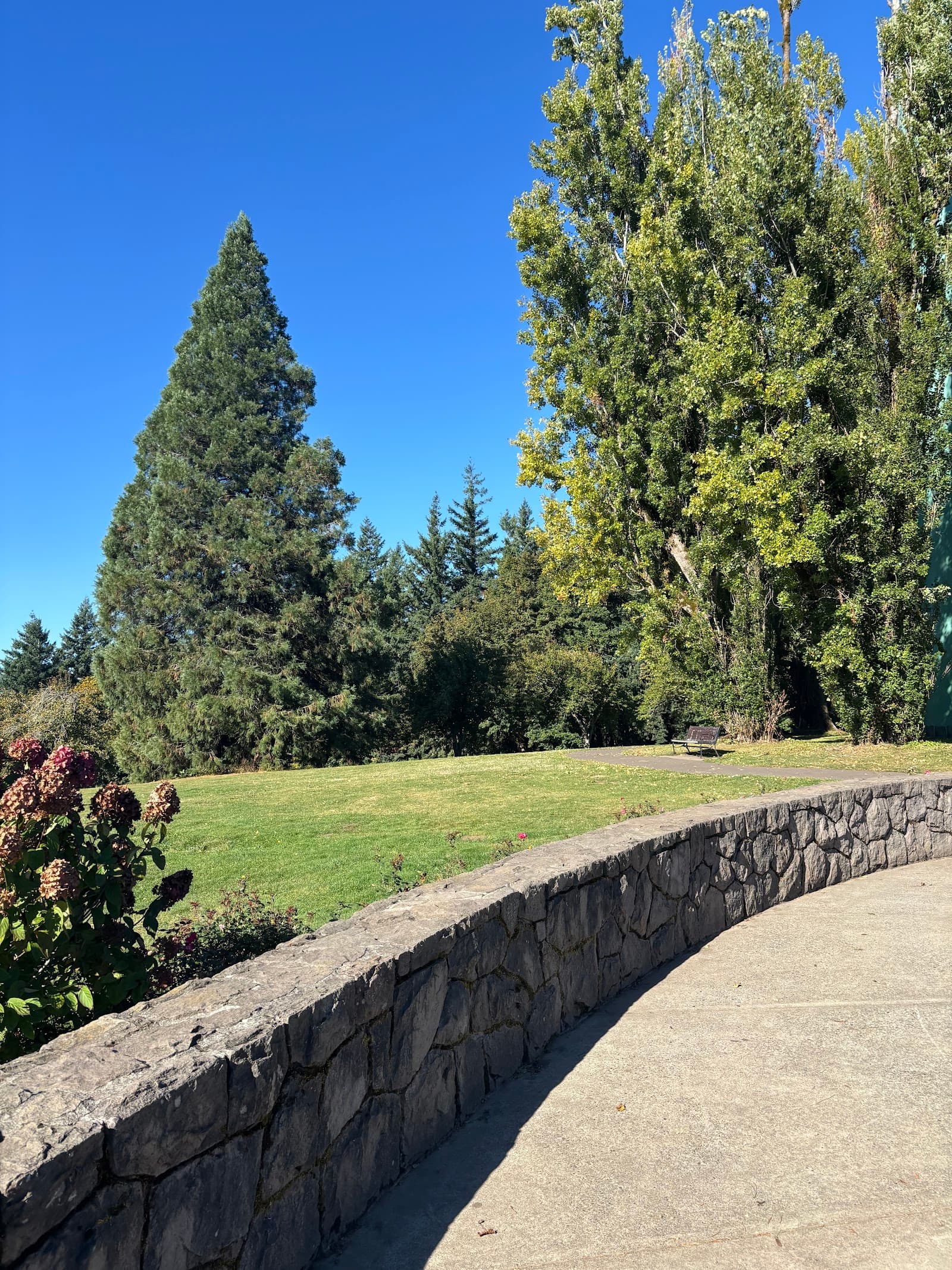 Off-Leash Dog Park