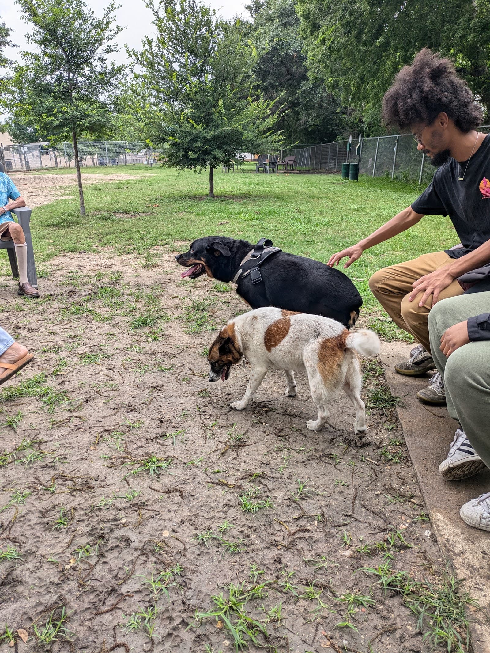 Officer Lucy Dog Park