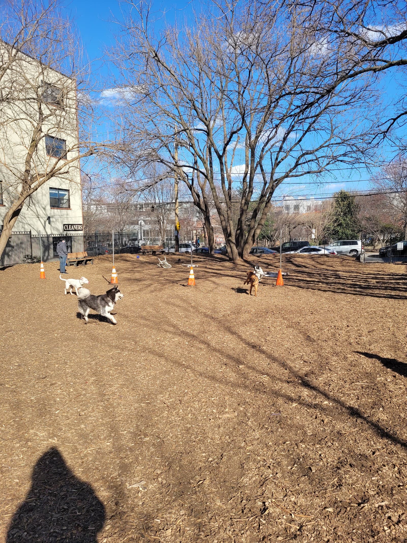 Orianna Hill Park