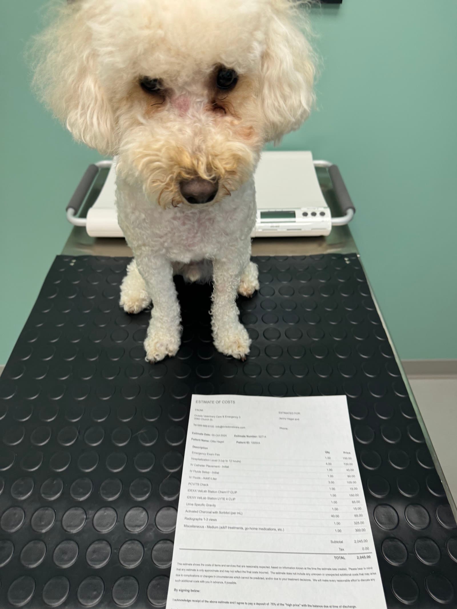 Oviedo Veterinary Care and Emergency