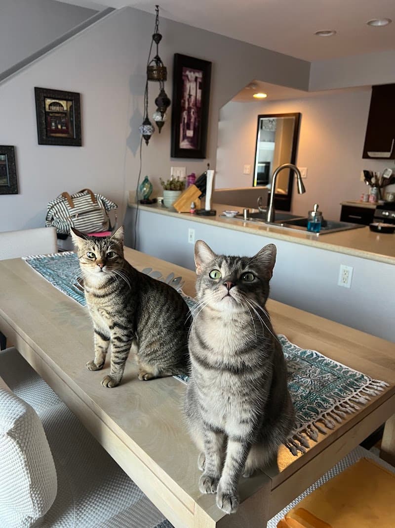 Paradise Pet Care