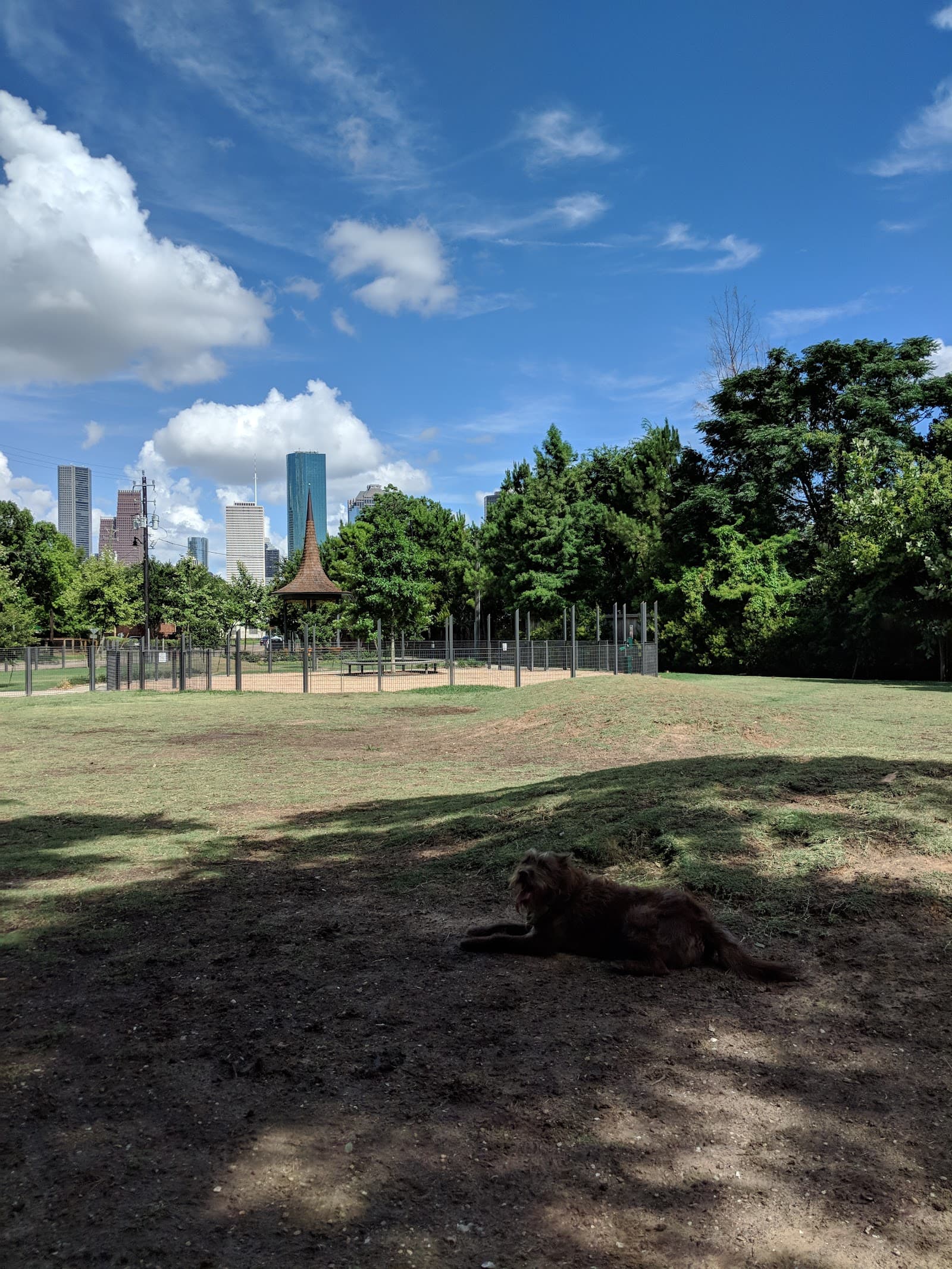 Park for Humans and Dogs