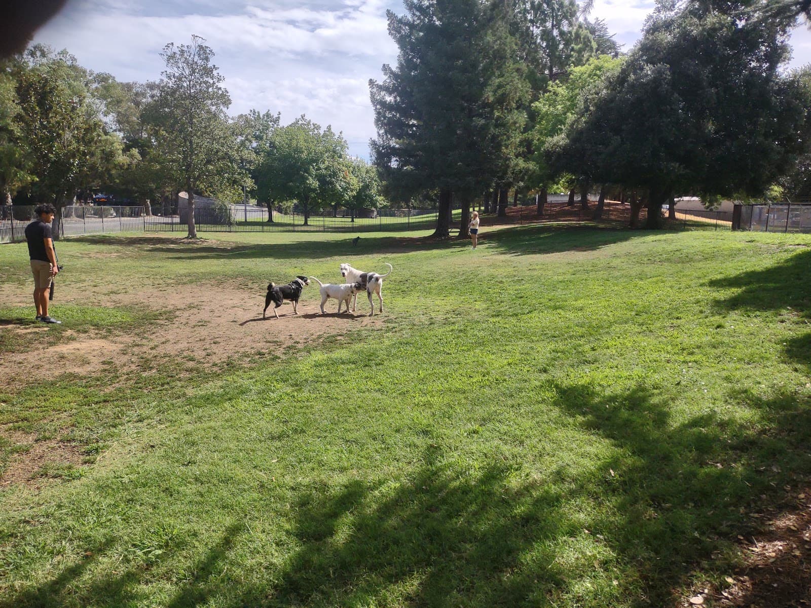 Partner Park Dog Park
