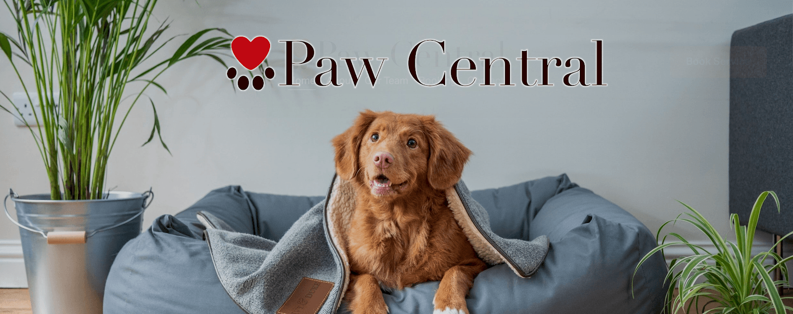 Paw Central