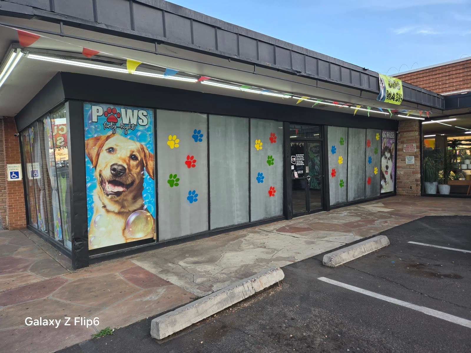 Paws 48 Dog Wash & Gym