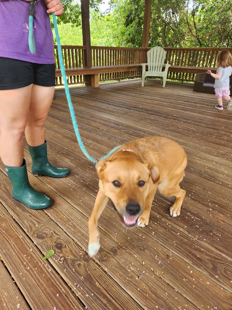 PAWS Shelter of Central Texas