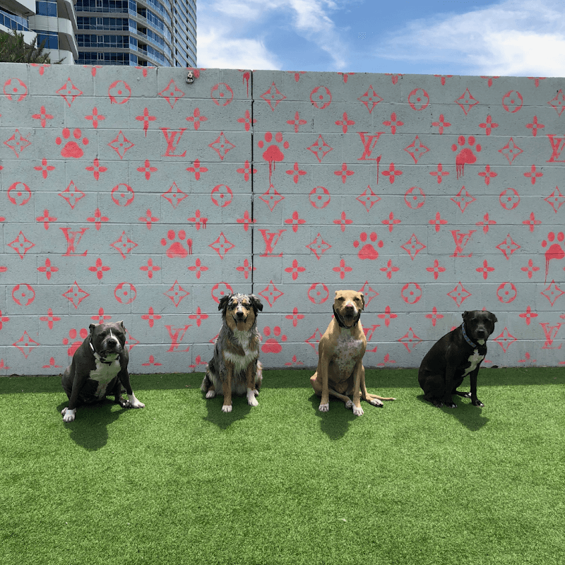 Pawsh Palace