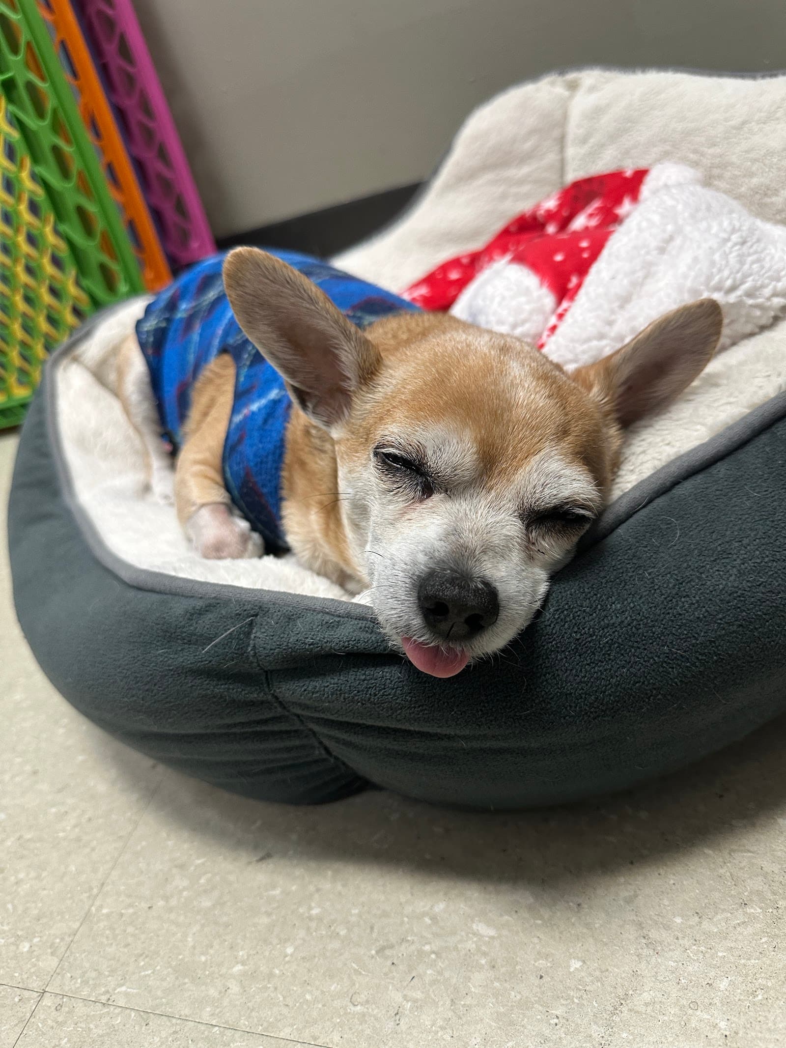 Pearland 288 Animal Emergency Clinic of Silverlake