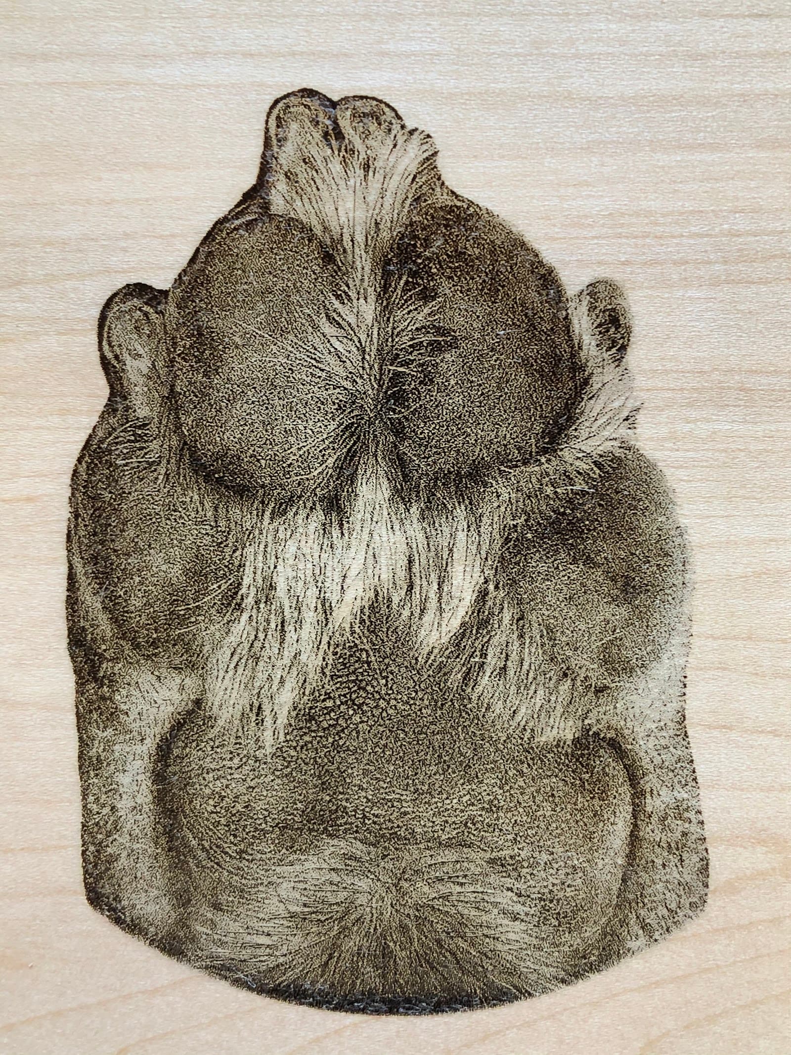 Pet After Life Services