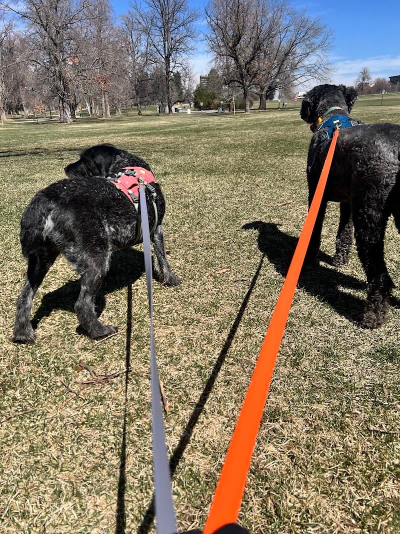 Pet and People Sitters, Inc photo 5