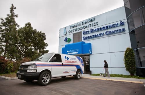 Pet Emergency & Specialty Center-South County photo 3