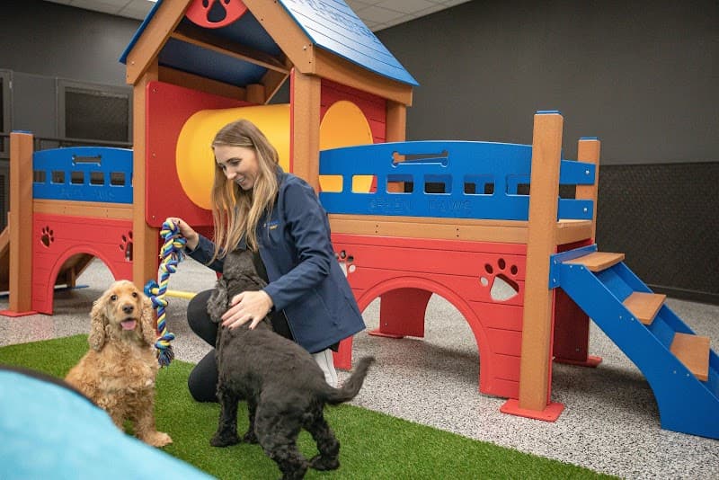 Pet Express photo 2