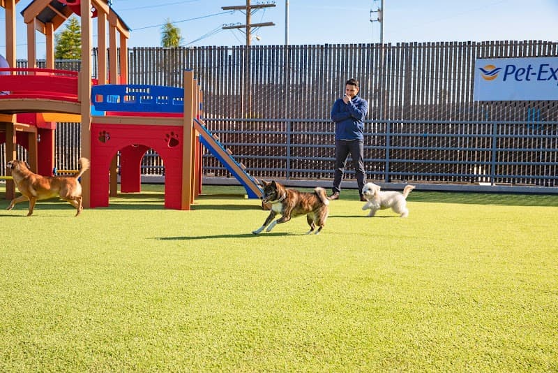 Pet Express photo 3